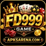 FD999 game logo