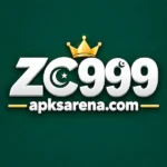 ZC999 game logo
